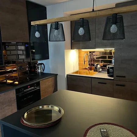 Premium With Garage & Smart Lock Center קטוביץ