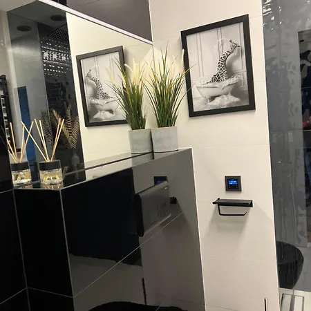 Premium With Garage & Smart Lock Center Appartamento Katowice