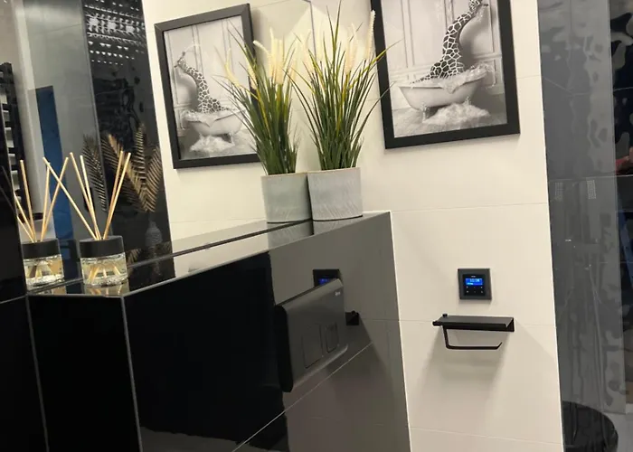 Premium With Garage & Smart Lock Center Apartment Katowice